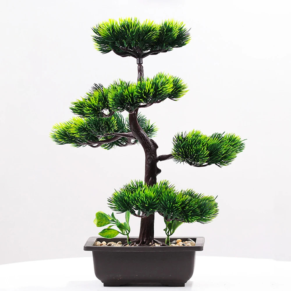 Bonsai Tree