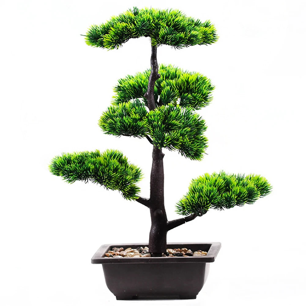 Bonsai Tree